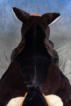 Load image into Gallery viewer, Preorder the Shepherd!
